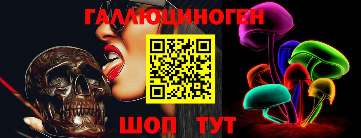 Псилоцибиновые грибы MAGIC MUSHROOMS  Вход с VPN  Балтийск 